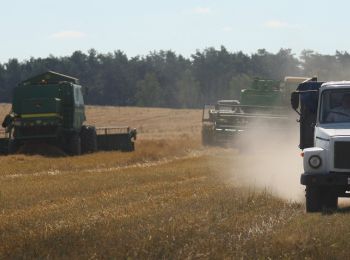 минсельхоз оценил ущерб от засухи в 8 млрд рублей
