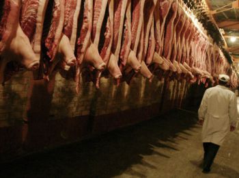 в европе пропадает 150 тысяч тонн свинины из-за российского эмбарго