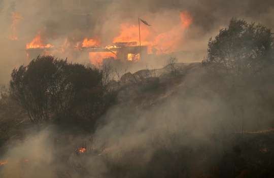 Лесные пожары в Чили привели к гибели 51 человека и разрушению более 1100 домов (ВИДЕО)