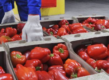 россия не пустила в крым 850 тонн овощей и фруктов из украины