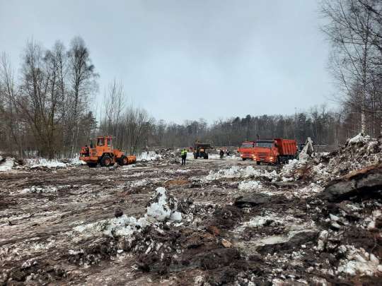 В Москве в новогоднюю ночь вырубали деревья национального парка «Лосиный Остров» (ВИДЕО)