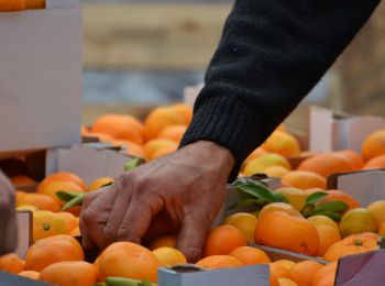 в список запрещенных турецких продуктов вошли мандарины, виноград и помидоры