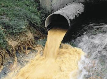 варварская золотодобыча в красноярском крае привела к «страшной мути» в местных реках
