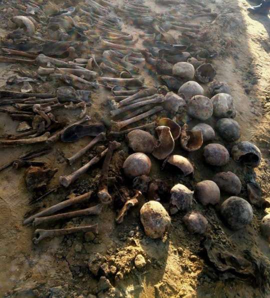 В Дагестане в ходе строительных работ на пляже были найдены 18 скелетов