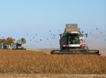 немецкие фермеры жалуются на обвал цен из-за контрсанкций россии