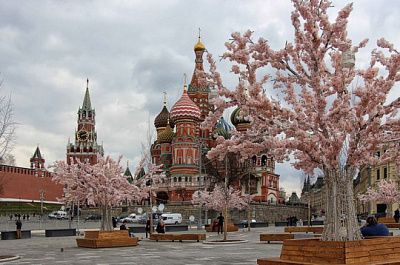 синоптики рассказали о потеплении к концу недели в москве