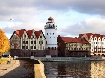 А могли бы пить баварское… - Совершенно Секретно