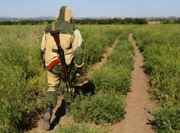 киев и донбасс подтвердили соблюдение режима прекращения огня - Сайт Газеты «Совершенно Секретно»