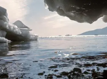 производство сверхзвуковых самолетов оказалось под угрозой из-за глобального потепления - Сайт Газеты «Совершенно Секретно»