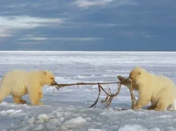 УКРАИНА МОЖЕТ ВЫЗВАТЬ ВОЙНУ ЗА АРКТИКУ - Совершенно Секретно