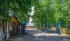 Директора спортивной школы и начальника детского лагеря осудили за нападение собаки на ребенка