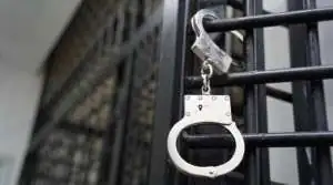 ОПГ из 16 человек, похищавших выплаты бойцам СВО, задержали в Тюмени