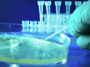 в мгу создадут “ноев ковчег” - Сайт Газеты «Совершенно Секретно»