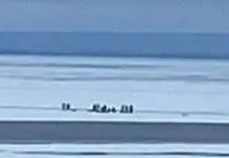 В акватории Волги в километре от берега откололась льдина, на которой находились 13 рыбаков