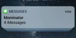 Уведомления от банков хотят перенести в Мах. Это выгодно банкирам, но опасно для клиентов