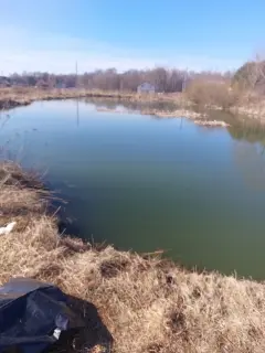 тело пропавшего два дня назад мальчика обнаружили в пруду под калугой - Сайт Газеты «Совершенно Секретно»