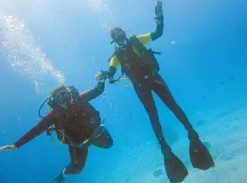 Записки инсайдера — дайвинг - Совершенно Секретно