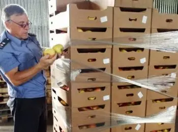 россия запретила ввоз продуктов из болгарии - Сайт Газеты «Совершенно Секретно»