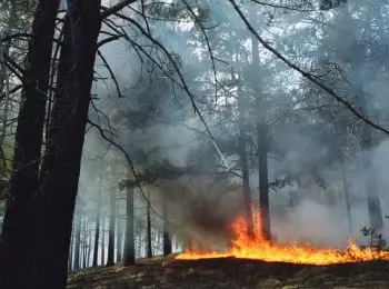 жителю забайкалья грозит 10 лет тюрьмы за поджог леса - Сайт Газеты «Совершенно Секретно»