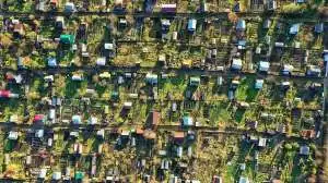 Более ста человек попали в мошенническую схему при покупке земли в Московской области