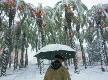 Великий климатический заговор - Совершенно Секретно