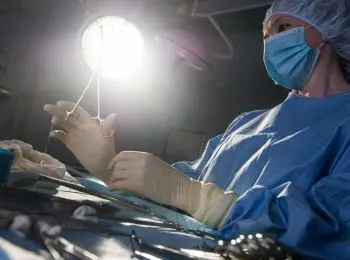 трудовые мигранты из молдовы возвращаются из европы без органов - Сайт Газеты «Совершенно Секретно»