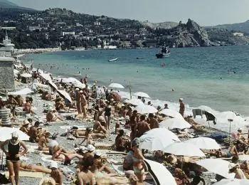 В ТЕНИ МАГНОЛИЙ - Совершенно Секретно