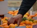 В список запрещенных турецких продуктов вошли мандарины, виноград и помидоры