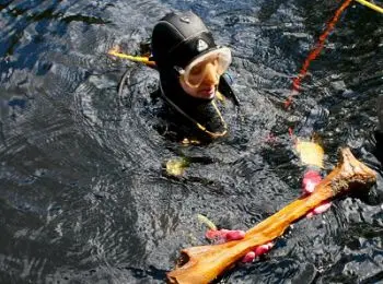 в сша обнаружены следы древних сибиряков, перебравшихся в америку - Сайт Газеты «Совершенно Секретно»