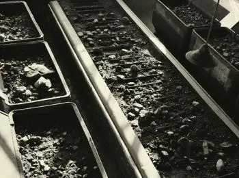 германия может распрощаться с углем - Сайт Газеты «Совершенно Секретно»