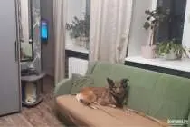 Суд встал на сторону бывших работников «Горэлектротранса», которых пытались выселить из дома-подстанции