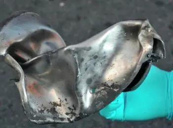 царнаевы использовали елочные украшения для создания взрывных устройств - Сайт Газеты «Совершенно Секретно»