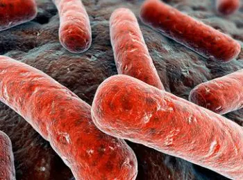 в красноярских маршрутках путешествуют бациллы туберкулёза - Сайт Газеты «Совершенно Секретно»