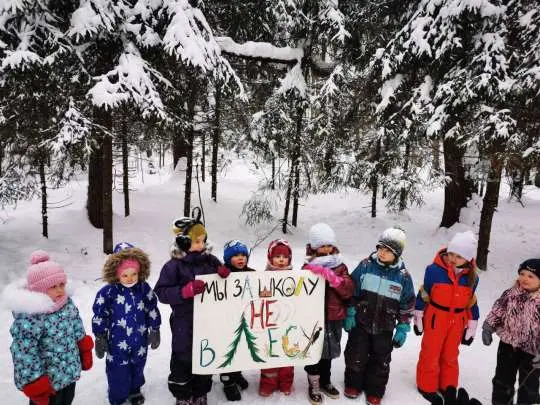 Начало конца. В Троицке идет «война» за лес - Совершенно Секретно