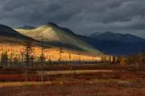 На Колыме на пенсионера, сыновья которого служили в СВО, завели дело за спил деревьев 