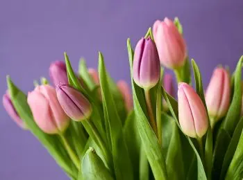 жителей россии ожидают три длинных выходных в марте - Сайт Газеты «Совершенно Секретно»