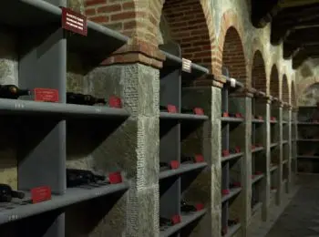 только двум поставщикам грузинского вина дано добро на возвращение в россию - Сайт Газеты «Совершенно Секретно»