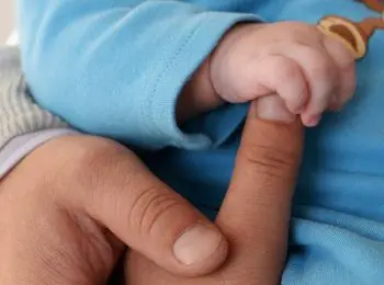 лдпр предлагает ввести “закон самца” - Сайт Газеты «Совершенно Секретно»