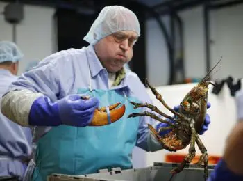 конфискованные санкционные товары предлагают продать на открытых торгах - Сайт Газеты «Совершенно Секретно»