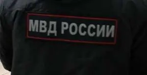В Подмосковье выдворят более 4,3 тыс. мигрантов