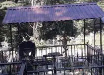 Житель Подмосковья выкопал из могилы тело женщины, чтобы надругаться над ним