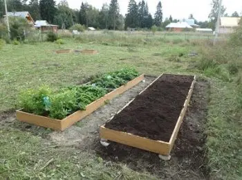 банде «пермских могильщиков» грозит пожизненное заключение - Сайт Газеты «Совершенно Секретно»