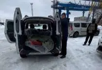 Раки тут и там