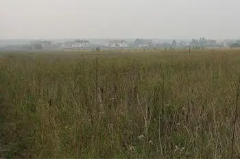 в москве подан первый иск об изъятии сельскохозяйственного участка, не используемого по назначению - Сайт Газеты «Совершенно Секретно»