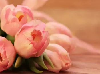 женщин на московском вокзале в петербурге встречали с цветами волонтеры - Сайт Газеты «Совершенно Секретно»