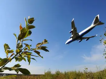 в россии могут оставить всего три авиаперевозчика - Сайт Газеты «Совершенно Секретно»