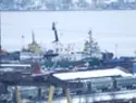 Greenpeace просит СКР отпустить из России иностранным участникам экипажа Arctic Sunrise