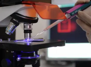 российские ученые предлагают бороться с эболой лекарством от 15 видов гриппа - Сайт Газеты «Совершенно Секретно»