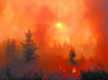 Экосистема планеты под угрозой - Совершенно Секретно