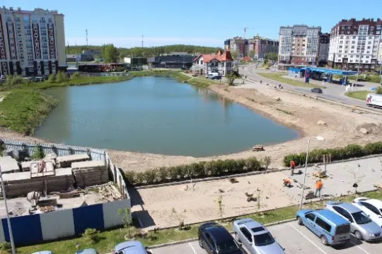 О бедной лягушке замолвите слово - Совершенно Секретно